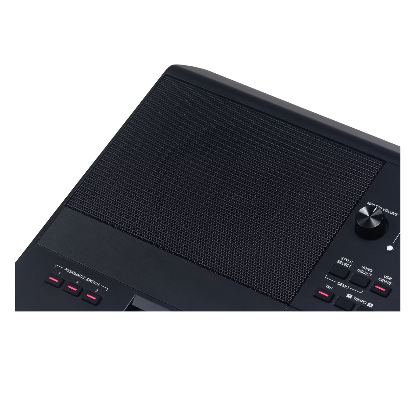 Medeli AKX10S Profi kíséretautomatika, 768 MB Sampler