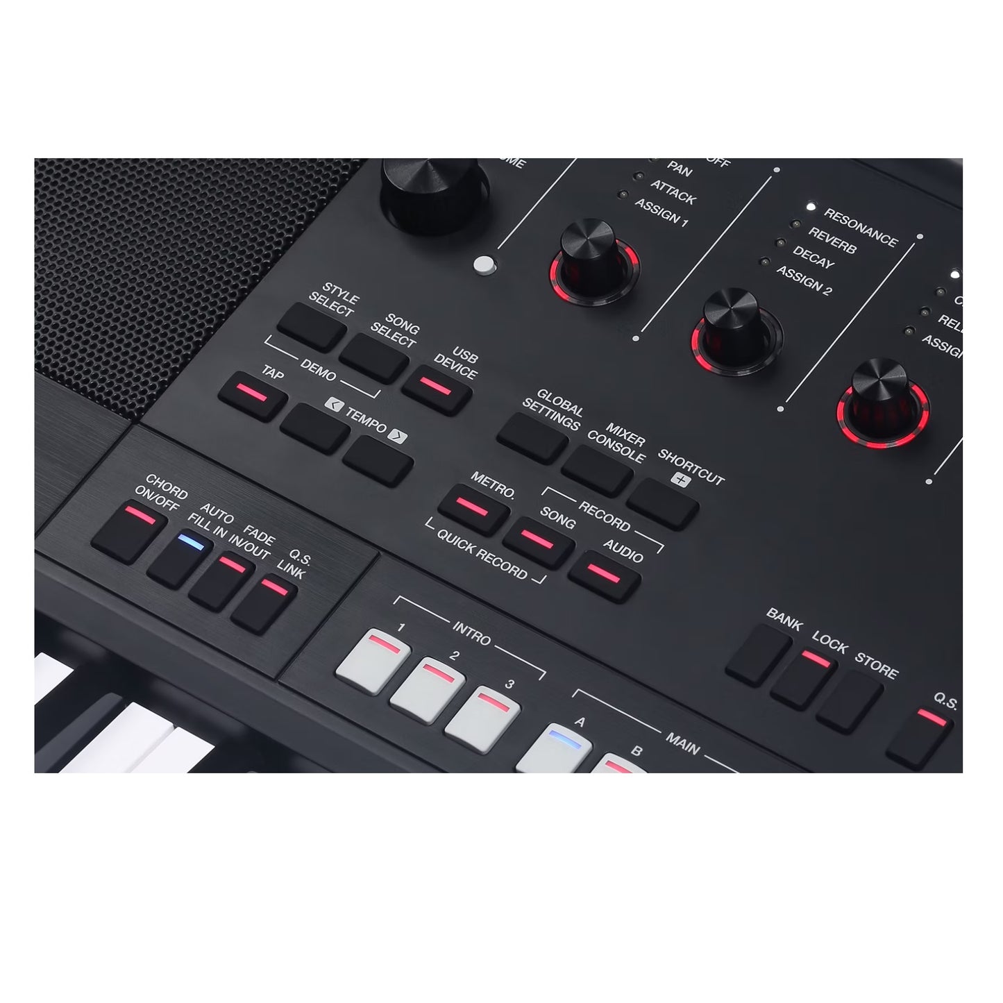 Medeli AKX10S Profi kíséretautomatika, 768 MB Sampler